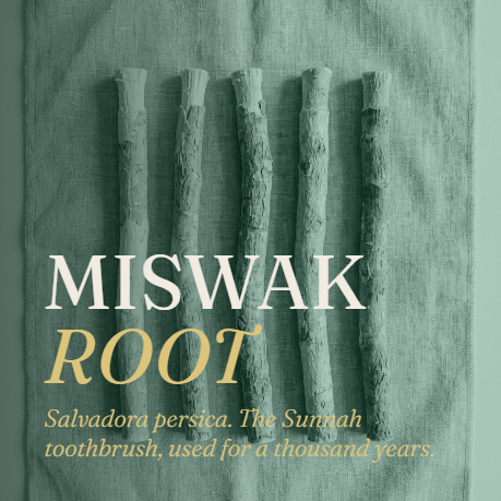Meraki Halal Natural Toothpaste